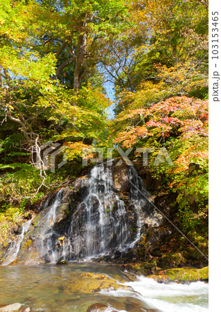 紅葉と不動の滝 103153465