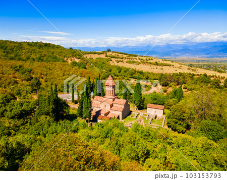 Ikalto Monastery aerial panoramic view, Georgia 103153793