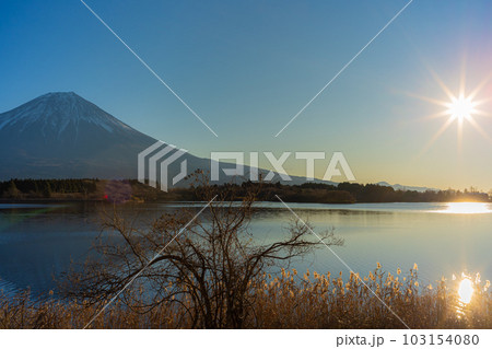 田貫湖からの初日の出と富士山 103154080