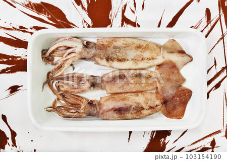 Uncooked squid fish in plate Uncooked squid fish in plate 103154190