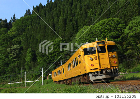 ［JR-V］伯備線115系（新見⇔米子） 103155209