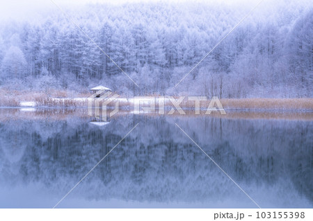 《長野県》雪景色の中牧湖・霧氷の森と湖のリフレクション 103155398