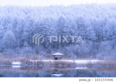 《長野県》雪景色の中牧湖・霧氷の森と湖のリフレクション 《長野県》雪景色の中牧湖・霧氷の森と湖のリフレクション 103155406
