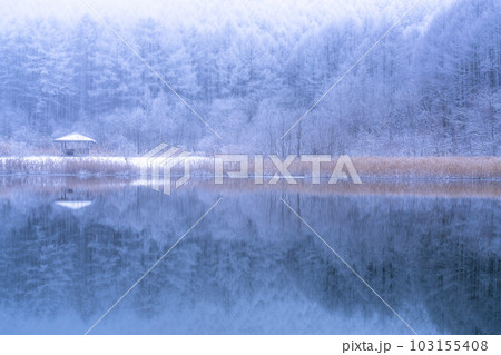 《長野県》雪景色の中牧湖・霧氷の森と湖のリフレクション 103155408