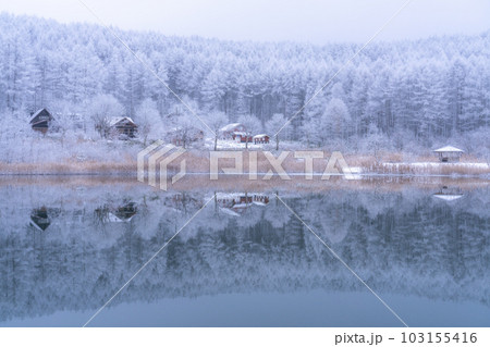 《長野県》雪景色の中牧湖・霧氷の森と湖のリフレクション 《長野県》雪景色の中牧湖・霧氷の森と湖のリフレクション 103155416
