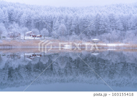 《長野県》雪景色の中牧湖・霧氷の森と湖のリフレクション 103155418