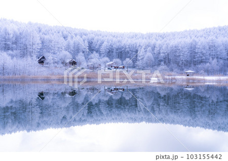 《長野県》雪景色の中牧湖・霧氷の森と湖のリフレクション 103155442