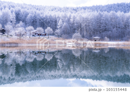 《長野県》雪景色の中牧湖・霧氷の森と湖のリフレクション 《長野県》雪景色の中牧湖・霧氷の森と湖のリフレクション 103155448