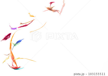 Many color Feather fly fall beautiful spiral pattern in air over black background isolated. Puffy Fluffy soft feathers like dream floating dove in sky. Colorful feathers are so light and delicate Many color Feather fly fall beautiful spiral pattern in air over black background isolated. Puffy Fluffy soft feathers like dream floating dove in sky. Colorful feathers are so light and delicate 103155511