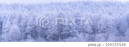《長野県》雪景色の中牧湖・霧氷の森 103155520