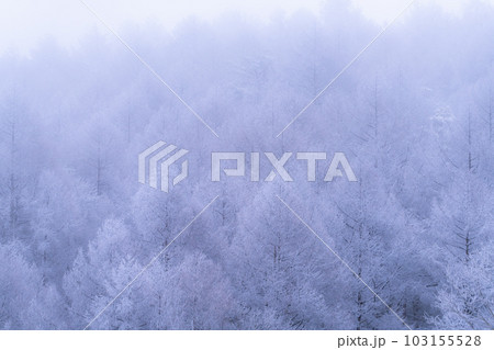 《長野県》雪景色の中牧湖・霧氷の森 103155528