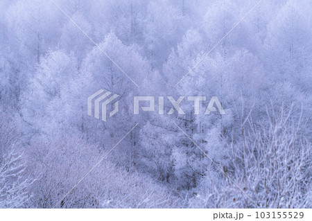 《長野県》雪景色の中牧湖・霧氷の森 103155529