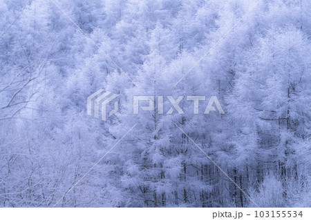 《長野県》雪景色の中牧湖・霧氷の森 103155534