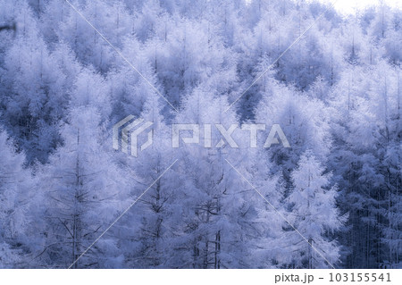 《長野県》雪景色の中牧湖・霧氷の森 103155541