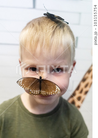 Emerald swallowtail butterfly and papilio polytes sit on a child face. The blond boy looks into the frame in surprise. Tropical harmless insects. 103155754