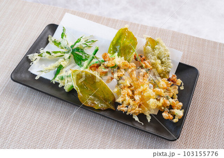 季節料理の天ぷら 103155776