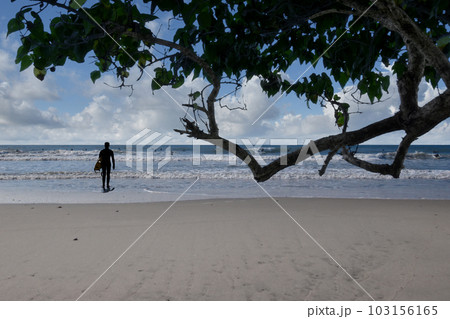 サーファーの楽園にいい波が来た、ある日の太平洋ロングビーチ サーファーの楽園にいい波が来た、ある日の太平洋ロングビーチ 103156165