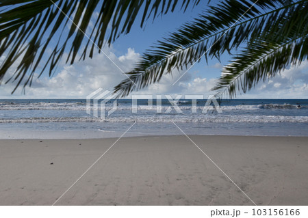 サーファーの楽園にいい波が来た、ある日の太平洋ロングビーチ サーファーの楽園にいい波が来た、ある日の太平洋ロングビーチ 103156166