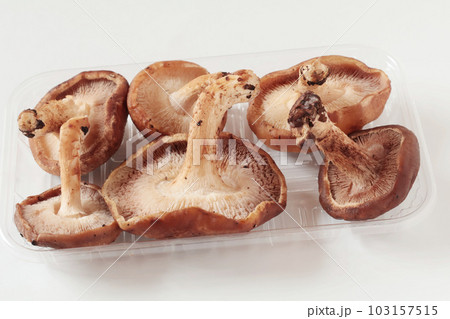 見切り品の椎茸 見切り品の椎茸 103157515