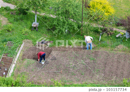 An adult couple is digging up their plot of land in the country for sowing potatoes. An adult couple is digging up their plot of land in the country for sowing potatoes. 103157734