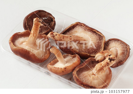 見切り品の椎茸 見切り品の椎茸 103157977