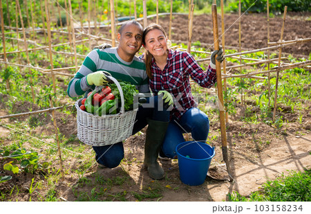 Happy couple with harvest of vegetables Happy couple with harvest of vegetables 103158234