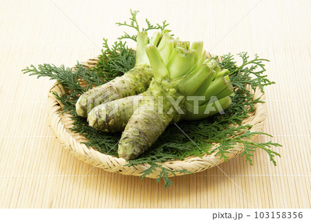 わさび わさび 103158356