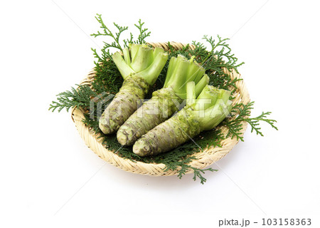 わさび わさび 103158363