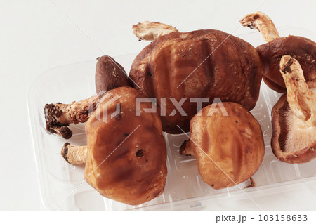 見切り品の椎茸 見切り品の椎茸 103158633