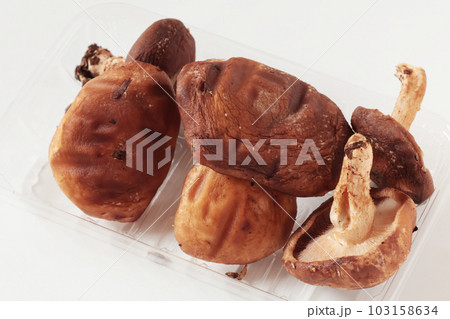 見切り品の椎茸 見切り品の椎茸 103158634