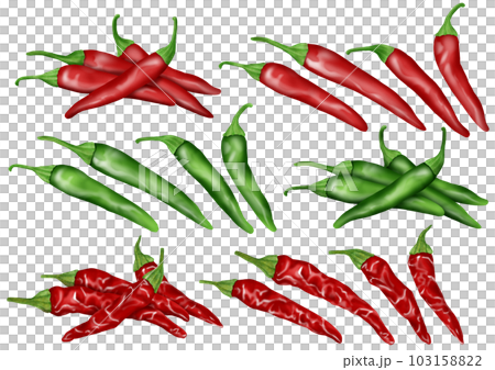 唐辛子 赤唐辛子 青唐辛子 乾燥唐辛子 103158822