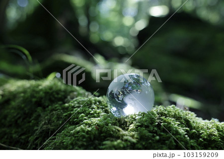 エコイメージ　森林　ガラスの地球 103159209