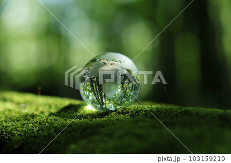 エコイメージ　森林　ガラスの地球 103159210