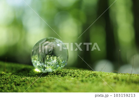 エコイメージ 森林 ガラスの地球 エコイメージ 森林 ガラスの地球 103159213