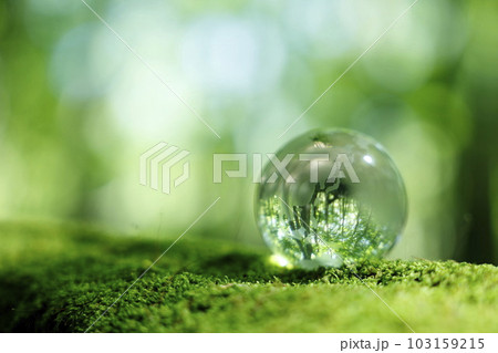 エコイメージ 森林 ガラスの地球 エコイメージ 森林 ガラスの地球 103159215