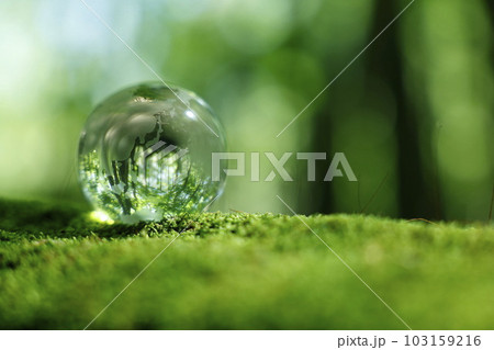 エコイメージ 森林 ガラスの地球 エコイメージ 森林 ガラスの地球 103159216
