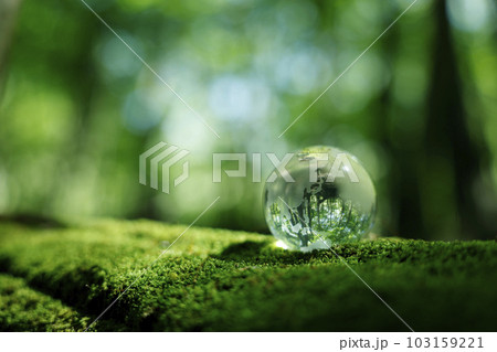 エコイメージ　森林　ガラスの地球 103159221