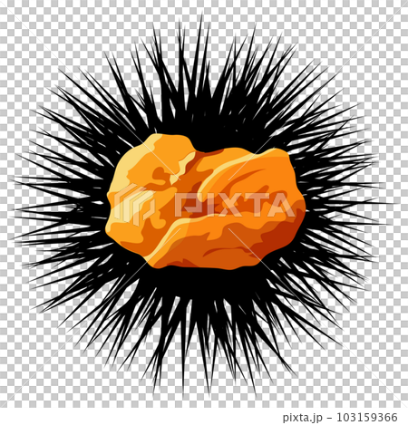うにのイラスト素材　ベクター 103159366