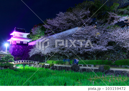 ライトアップされた春の大村公園　長崎県大村市 103159472
