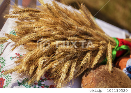 Wheat ears, bread on an embroidered shirt. Rural still life.Background of ripening ears of meadow wheat field. Rich harvest Concept 103159520