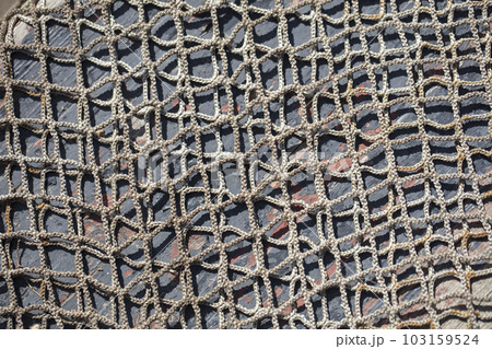 Background grid for fishing. Seine 103159524