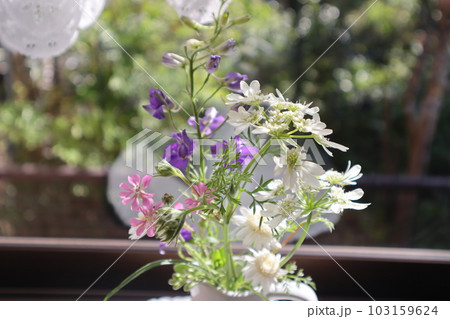 出窓に庭の花を飾る 出窓に庭の花を飾る 103159624