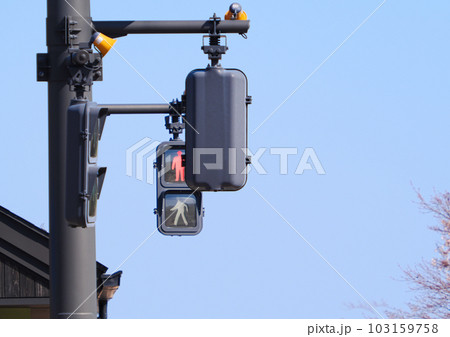対面する歩行者用信号（赤信号）と青空の写真素材 [103159758] - PIXTA