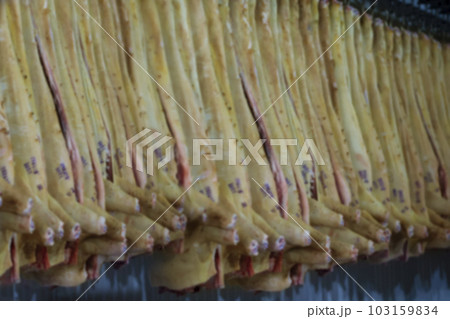 Blurred meat factory. A lot of pork carcasses in a meat processing factory. 103159834