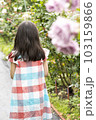 バラ園の少女 103159866