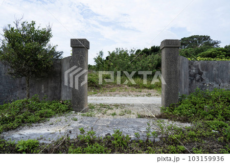 取り壊された石門、廃墟となった屋敷、蔦が絡まった門、撤去された一軒家、日本建築の門、鬱蒼とした門、 103159936