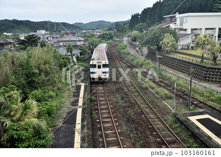 日南線青島駅に停車中の列車 103160161