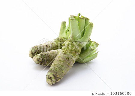 わさび わさび 103160306