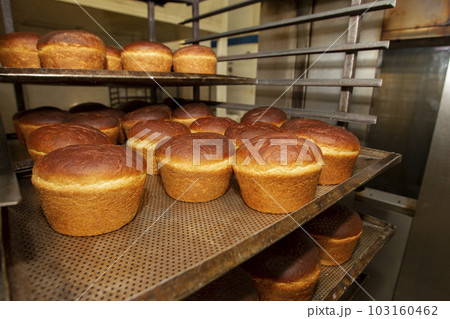 Industrial production of bread. Lots of baked goods on pallets. Freshly baked bun. Bakery 103160462