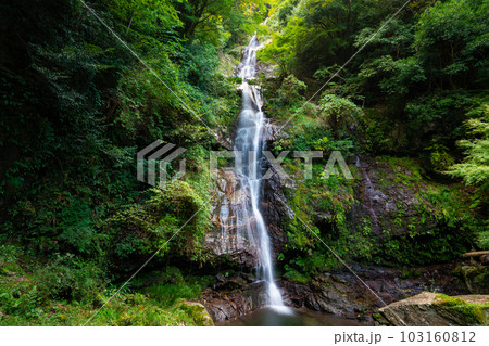 徳島県下一の落差を誇る鳴滝2　徳島県美馬郡つるぎ町 103160812